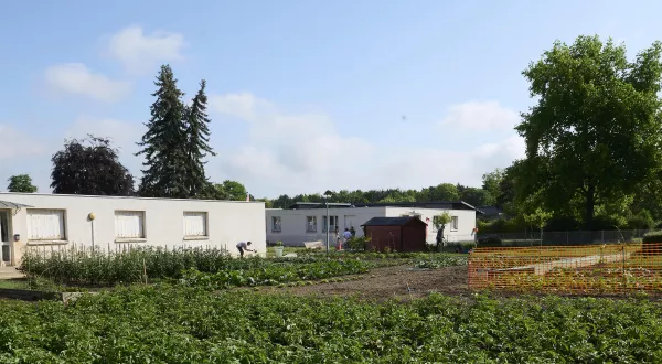 EPSM - Un potager pour cultiver l’espoir et faire germer le bien-être