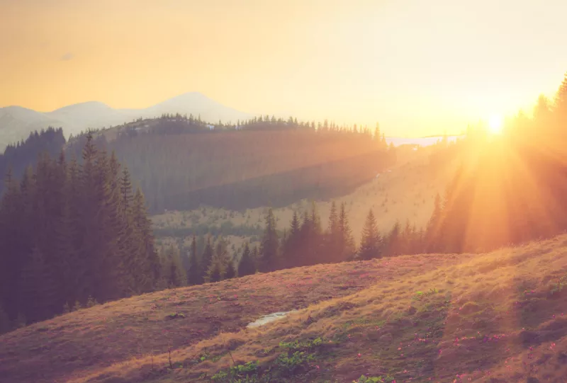 Lorem ipsum dolor sit amet (5)