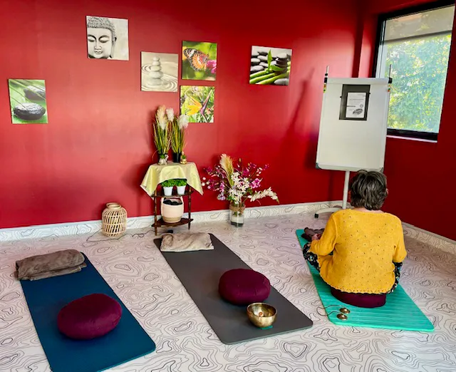 Un atelier intersectoriel MBCT mis en place à Reims